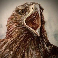 Dominik Eulberg - Adler (Unofficial Prielmann's Bussard Mix)