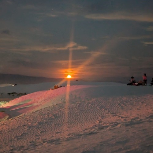 Pamplem'House - mezcal