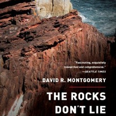 ACCESS PDF EBOOK EPUB KINDLE The Rocks Don't Lie: A Geologist Investigates Noah's Flo