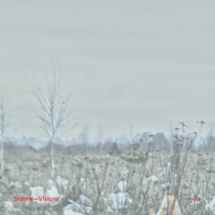 VISIONE03