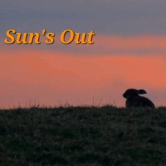 Sun's Out
