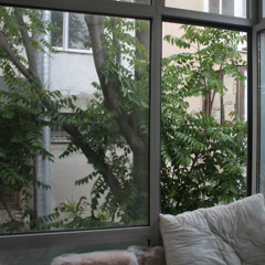 666666666666666666666666