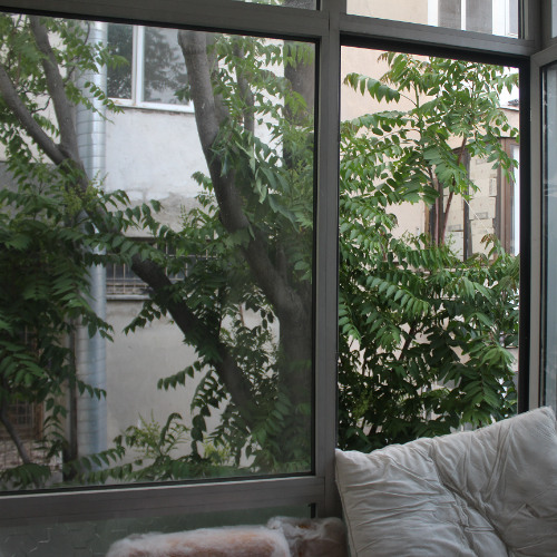 666666666666666666666666