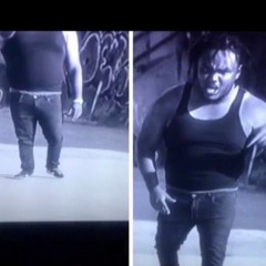 twin grizzlies nightcore