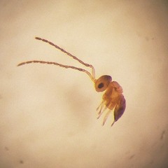 derealization [sad indie/ambient] [mix_07]