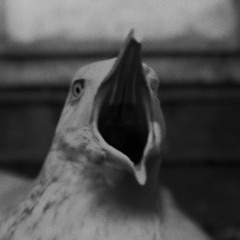 ZZI - CANTDOitBYMYSELF 96BPM