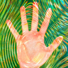 01 REC-2025-11-13_Trance Test