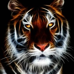 Mission - LekHoe x L!V!N