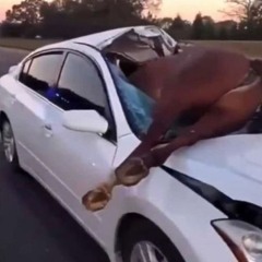 genetically altered EXTENDED