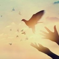 DVLAN - All We Can Fly (Original Mix) Old Project