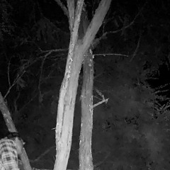 Autumn (Prod. redMOSK)