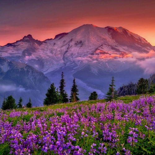 FEELIN LIKE (FEAT. EDDWORDS)