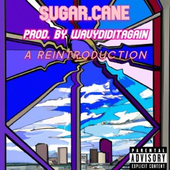 A REINTRODUCTION (Prod. WAVYDIDITAGAIN)