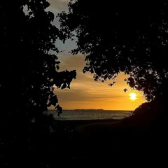 تُنسى كأنك لم تكن