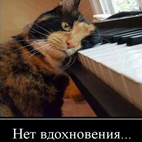 schizoid