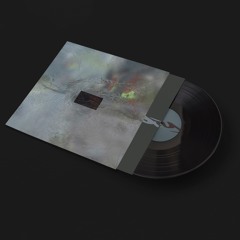 C1 Ryan James Ford - Mosquito (vinyl edition - preview)