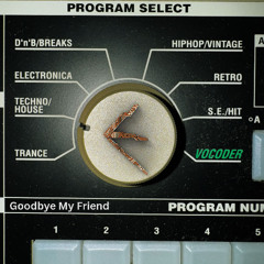 Goodbye My Friend