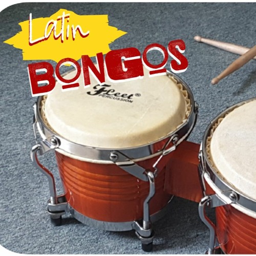 bongo loops in 110 bpm