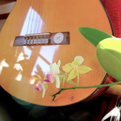 Acoustic