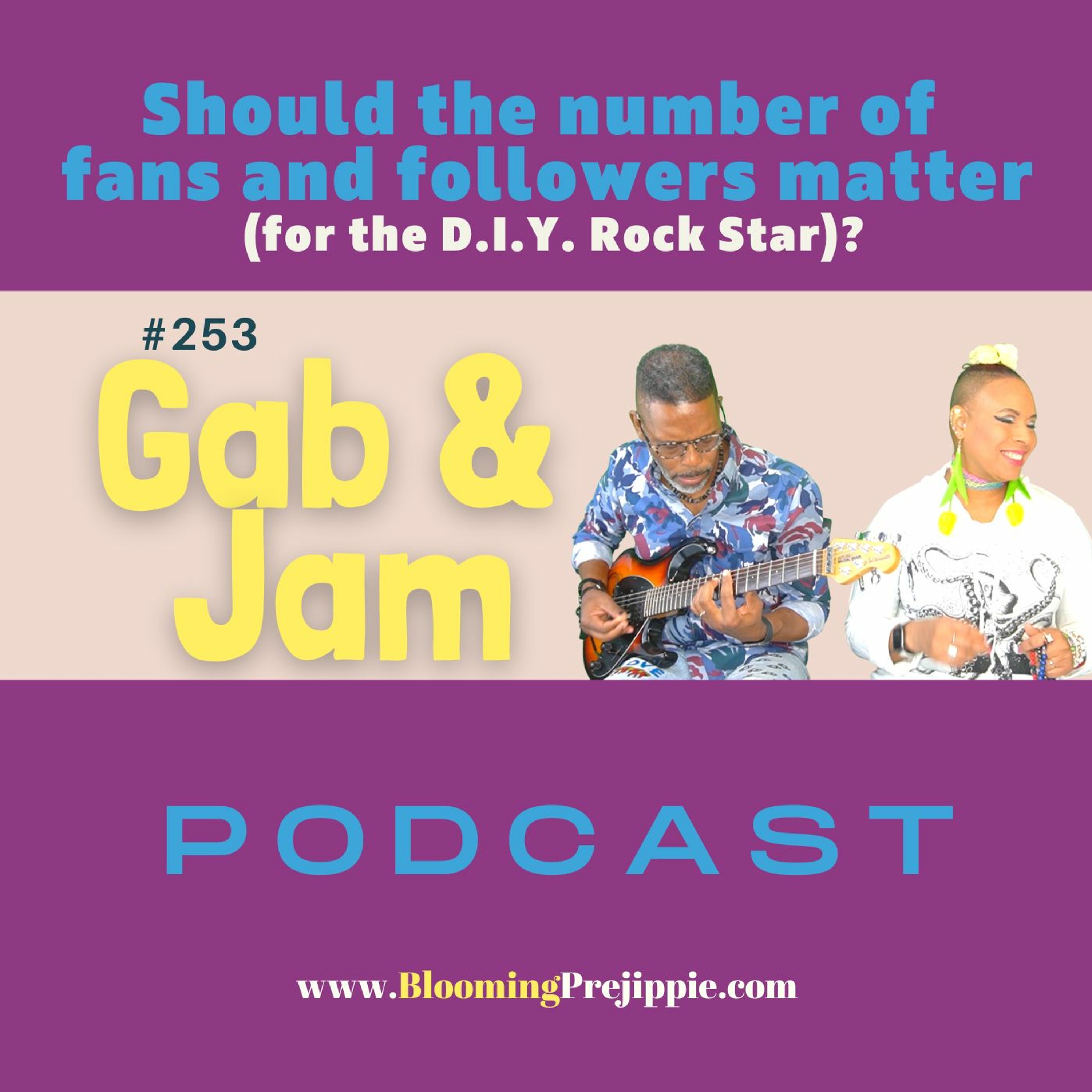 253. Should The Number Of Fans And Followers Matter (for The D.I.Y. Rock Star) Podcast episode artwork