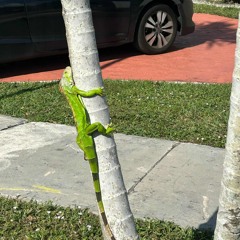 Don’t know the half