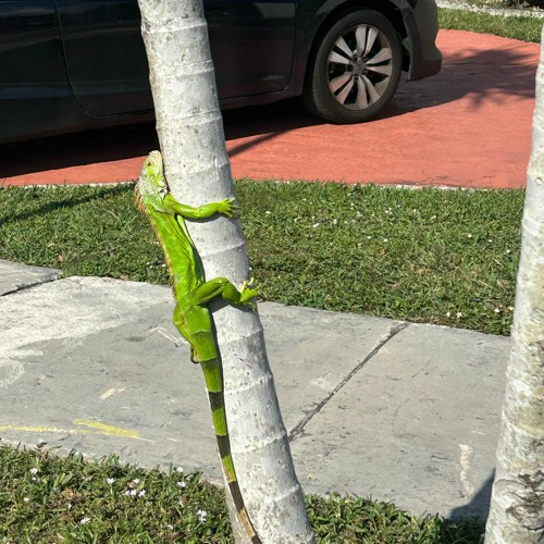 Don’t know the half