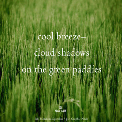 cloud shadows [naviarhaiku572]