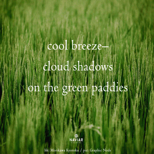 cloud shadows [naviarhaiku572]