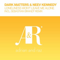 Loneliness Won't Leave Me Alone (Sebastian Brandt Remix)