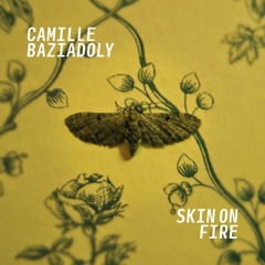 Skin on Fire