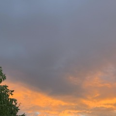 Fast Fashion Skies