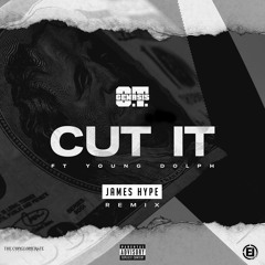 Cut It (feat. Young Dolph) (James Hype Remix)