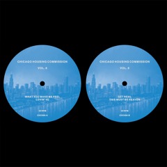 Liz Torres - What You Make Me Feel (David X Edit)