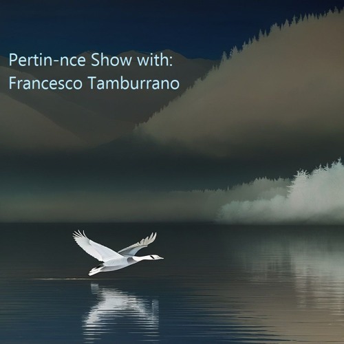 Pertin-nce Show with : Francesco Tamburrano