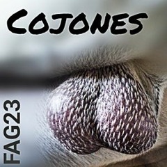Cojones!