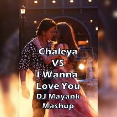 Chaleya Vs I Wanna Love You - DJ Mayank Mashup