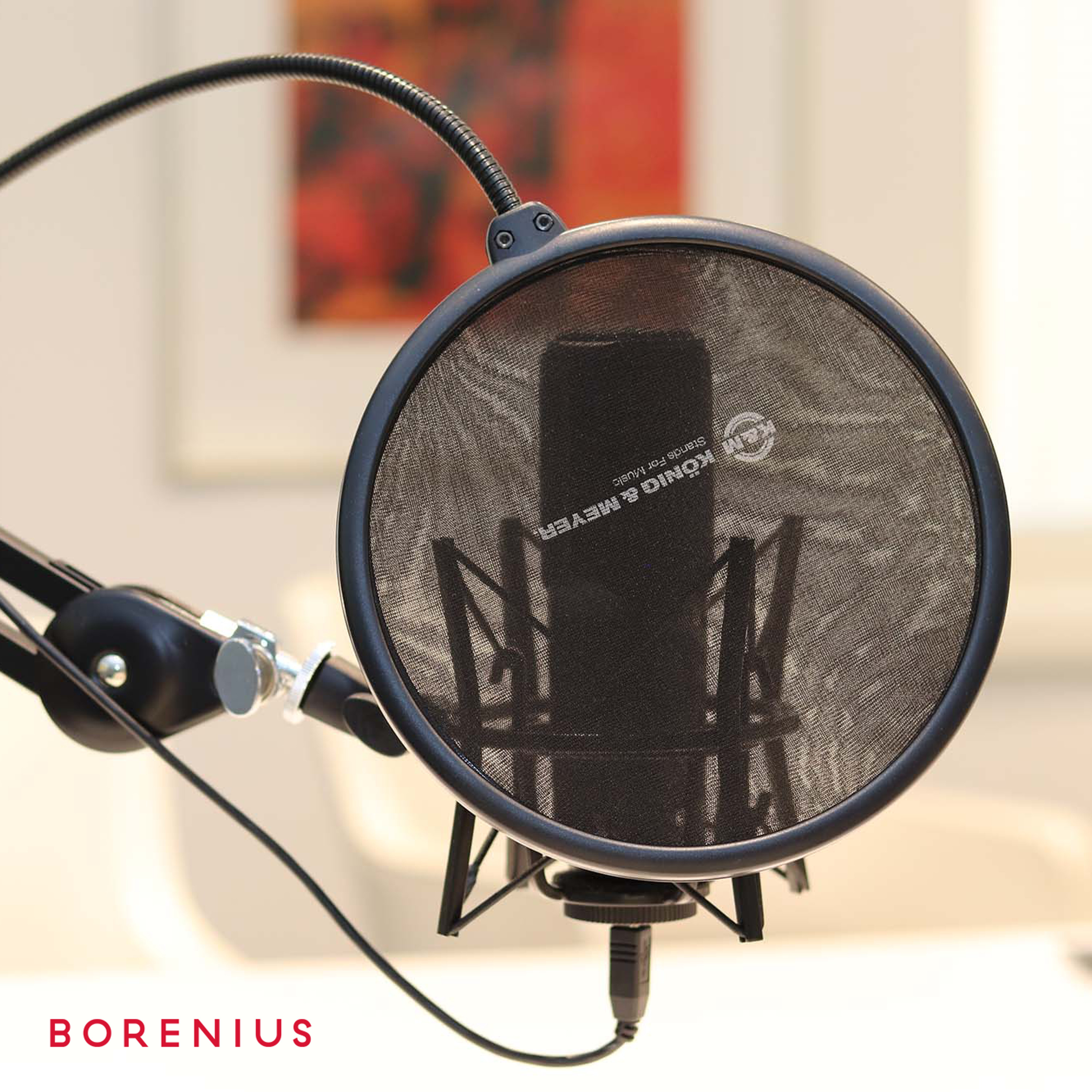 Borenius: Ilmiöitä oikeudesta