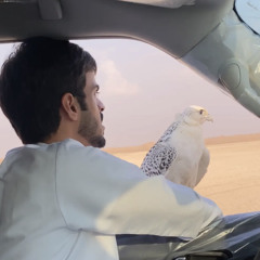 ياطير سلم على الحبيب