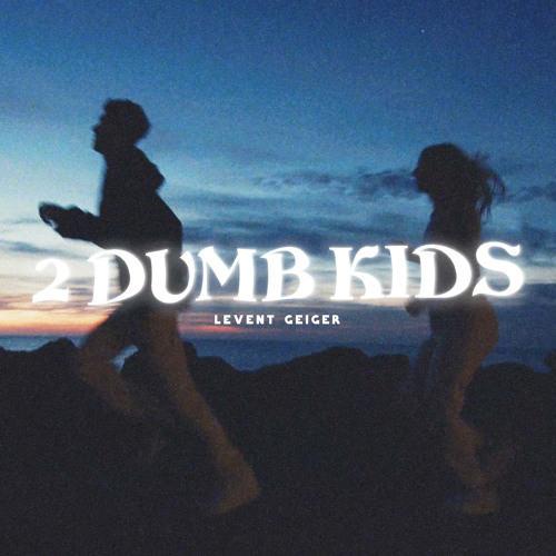 paroles de levent geiger 2 dumb kids