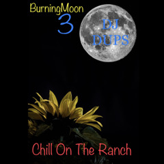 Chill On The Ranch,Live at Burning Moon 3