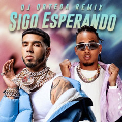 Anuel AA & Ozuna - Sigo Esperando (Remix DJ Ortega) (Reggaeton Version)