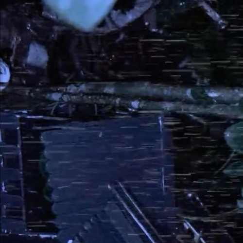 "community memory" / deep forest experience (green tribute) #audiodrugs #psy