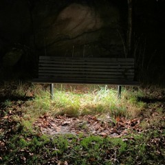 073 Bänken I Slottskogen