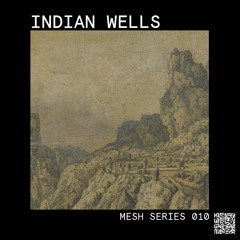 Mesh Series 010: Indian Wells