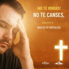 No te canses, Bruno