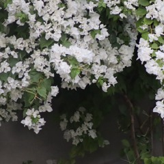 ‎⁨خاتمة في الأخلاق من كتاب مدارج الكمال قراءة: محمد بن سليمان المعولي⁩.m4a