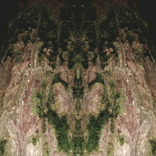 01 - Xenoscapes - Warp Fiend.mp3