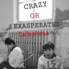 Tony Romano - CRAZY OR EXASPERATED  2024-04-15 05_01.m4a