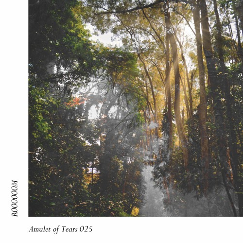 Amulet 025: R000000M