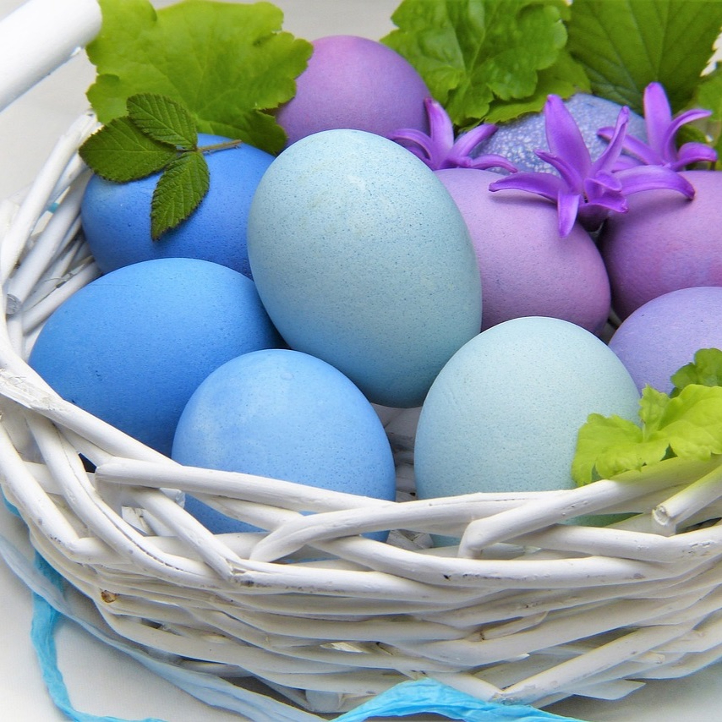 Quattro Stagioni 148 - Posta di Pasqua